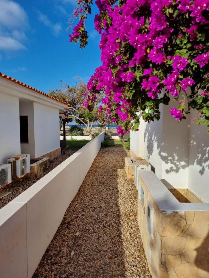 Villa With Privat Pool Near Beach Santa Maria Sal Kap Verde Dış mekan fotoğraf