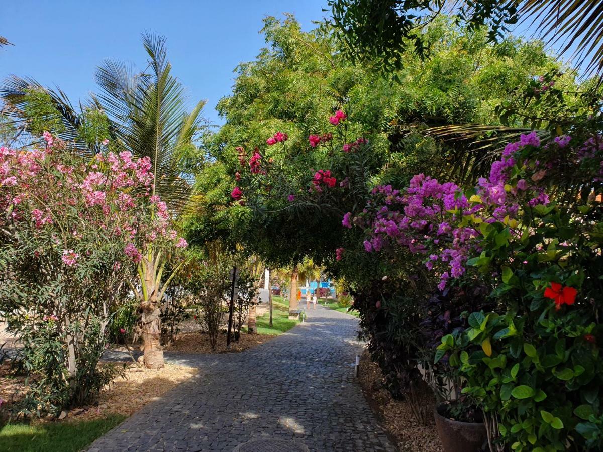 Villa With Privat Pool Near Beach Santa Maria Sal Kap Verde Dış mekan fotoğraf